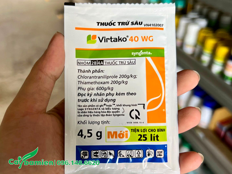 Thuốc trị sâu bệnh hại trên cây thông Caribe